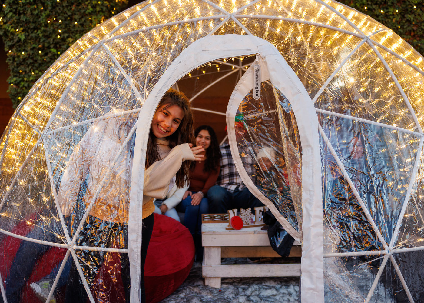 Reserve a Private Igloo