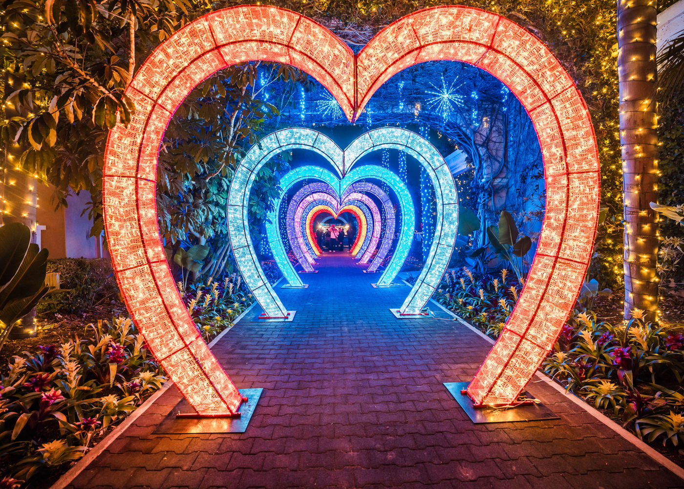 Holiday Light Trail