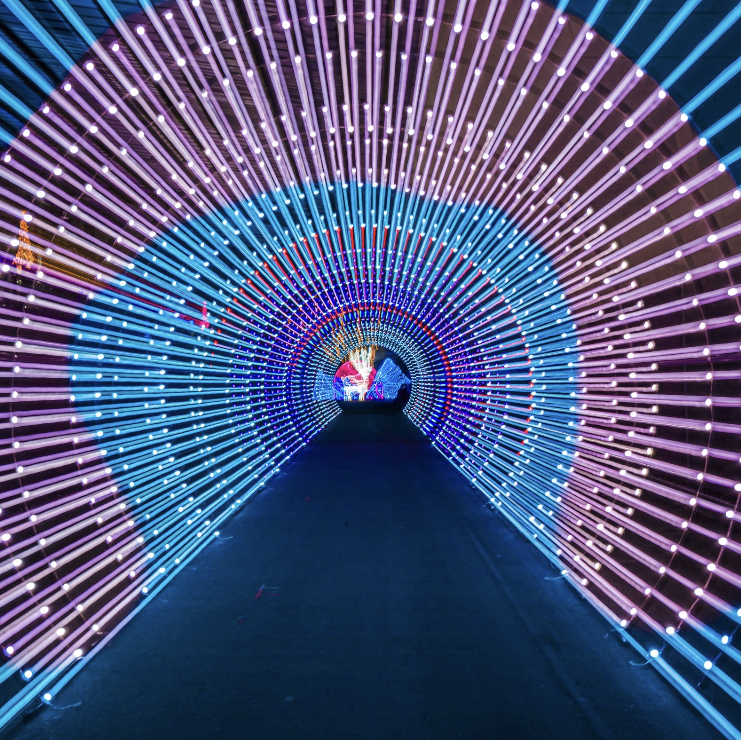 Step Into the Light